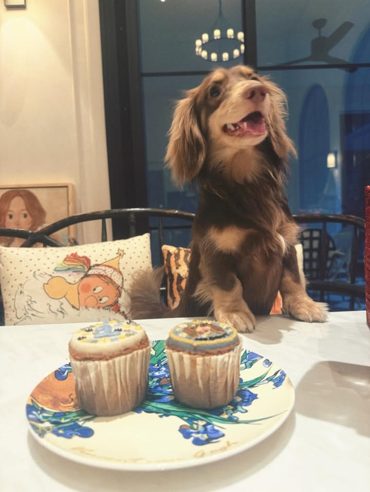 ใบเฟิร์น - พิมพ์ชนก ลือวิเศษไพบูลย์