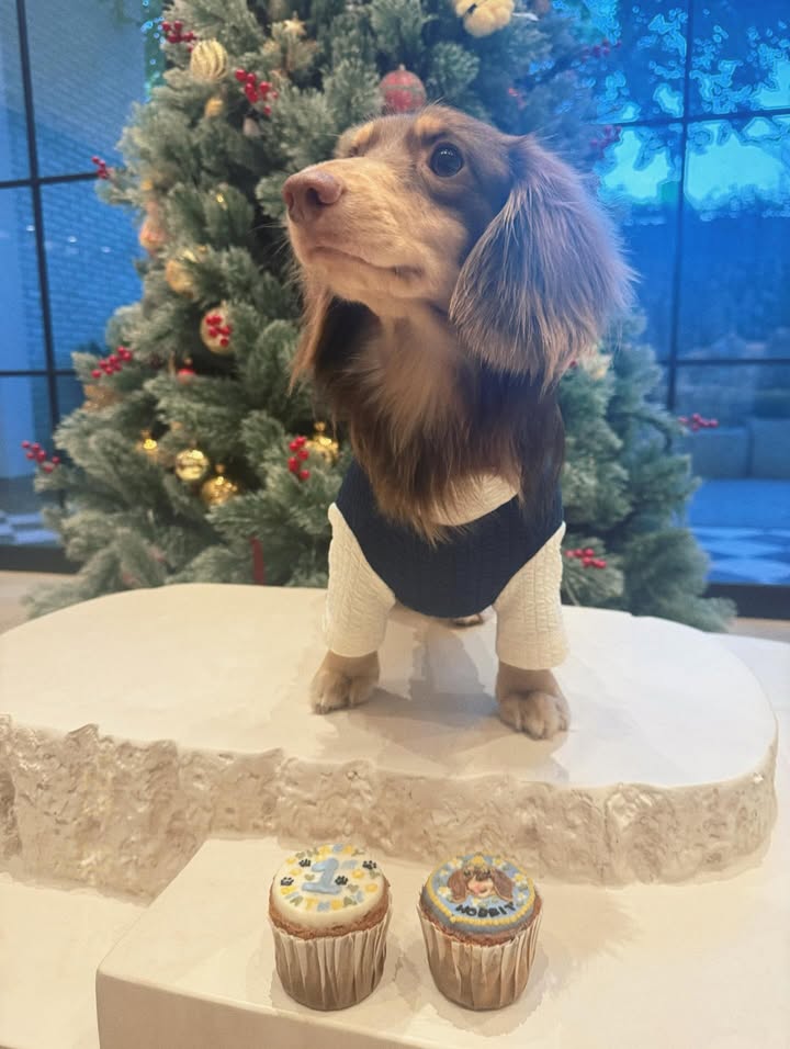 ใบเฟิร์น - พิมพ์ชนก ลือวิเศษไพบูลย์