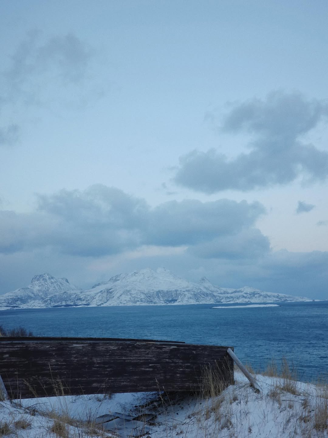 ใบเฟิร์น - พิมพ์ชนก ลือวิเศษไพบูลย์