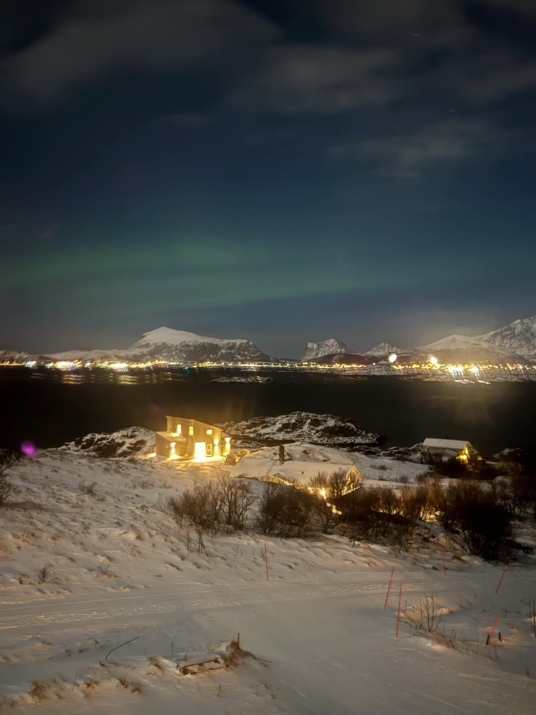 ใบเฟิร์น - พิมพ์ชนก ลือวิเศษไพบูลย์