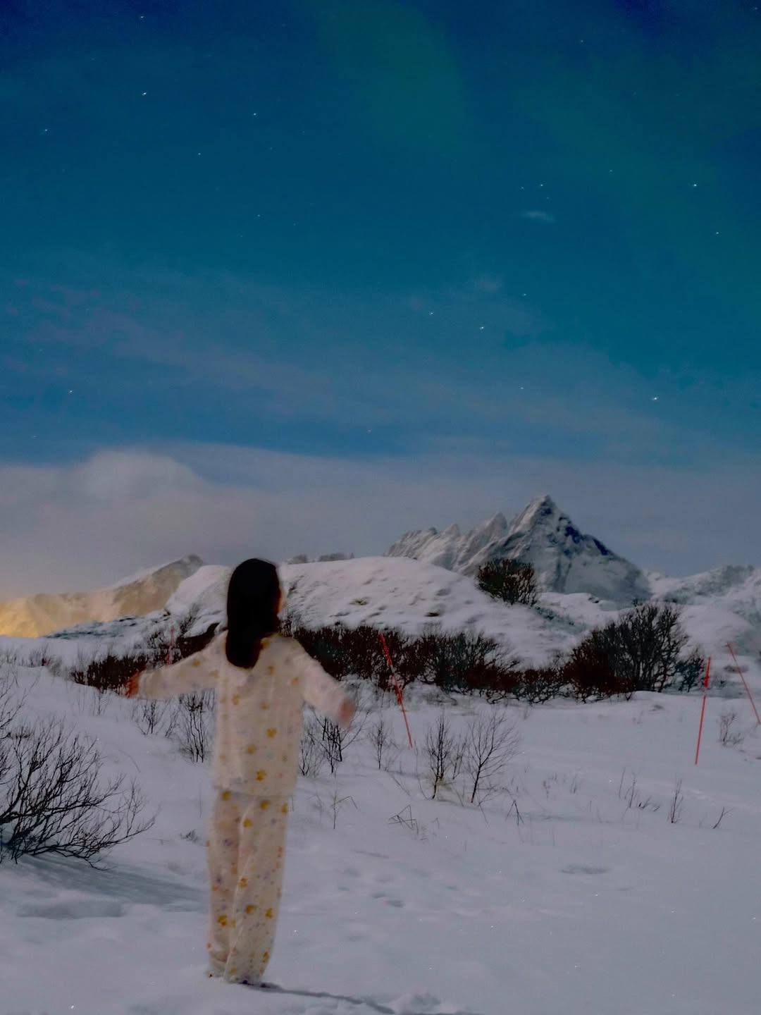 ใบเฟิร์น - พิมพ์ชนก ลือวิเศษไพบูลย์