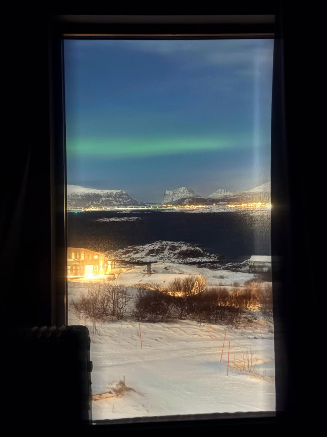 ใบเฟิร์น - พิมพ์ชนก ลือวิเศษไพบูลย์