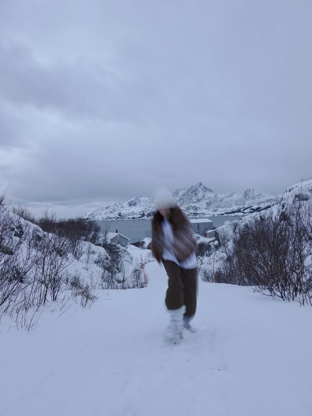 ใบเฟิร์น - พิมพ์ชนก ลือวิเศษไพบูลย์