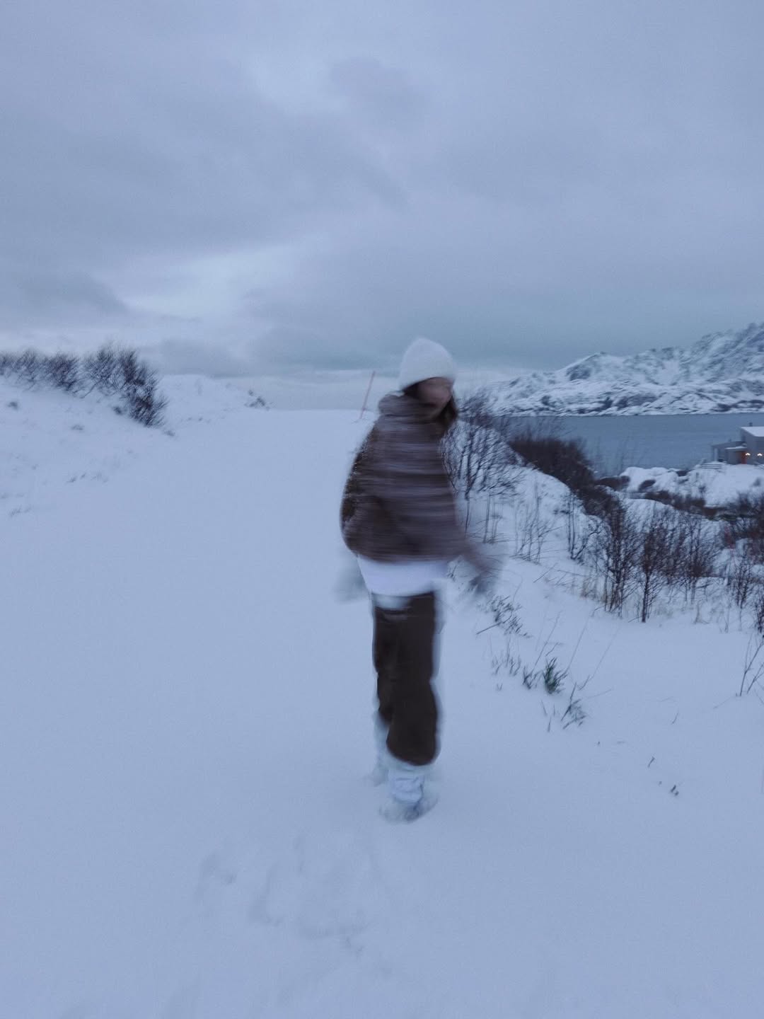ใบเฟิร์น - พิมพ์ชนก ลือวิเศษไพบูลย์
