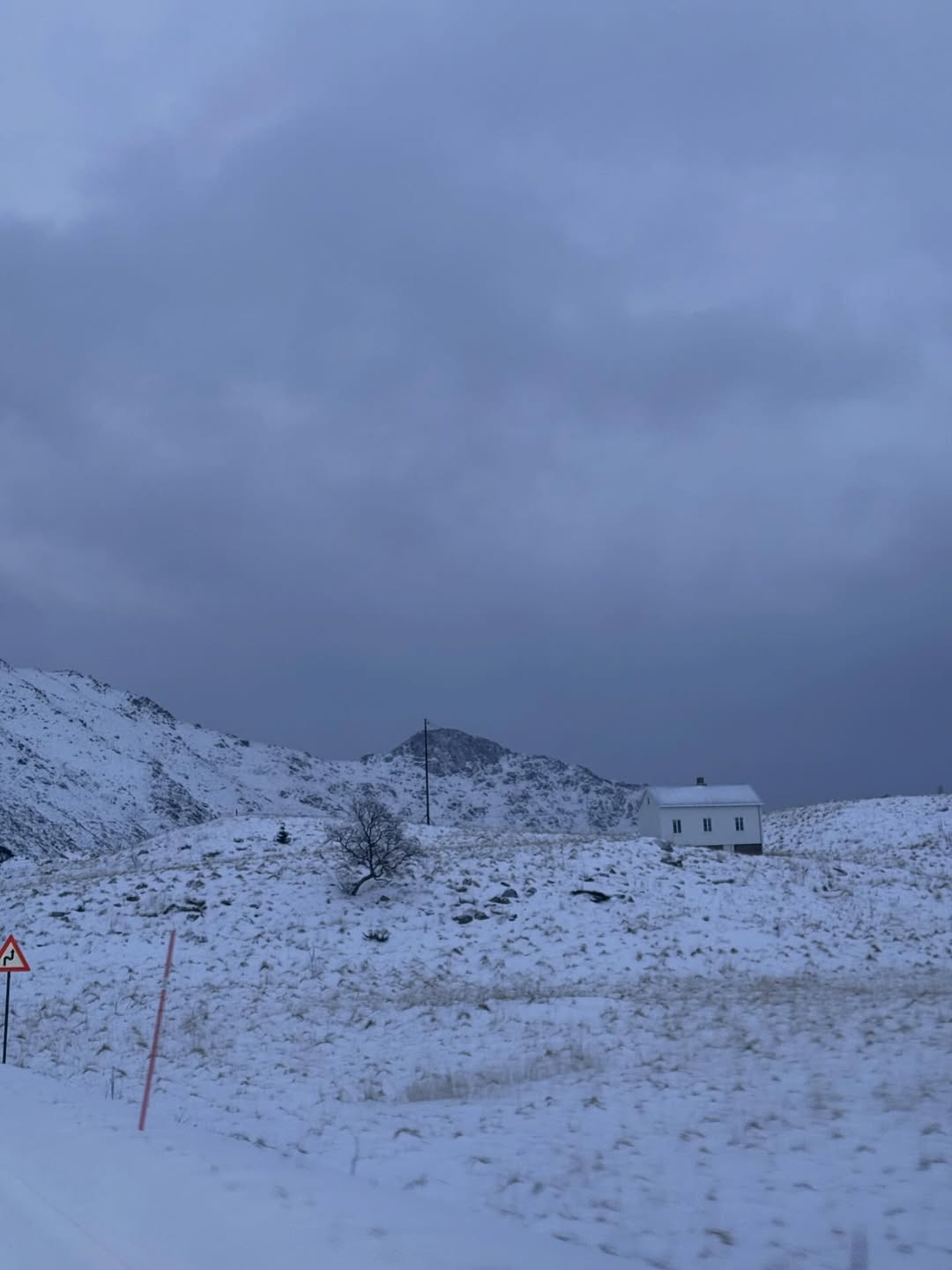 ใบเฟิร์น - พิมพ์ชนก ลือวิเศษไพบูลย์