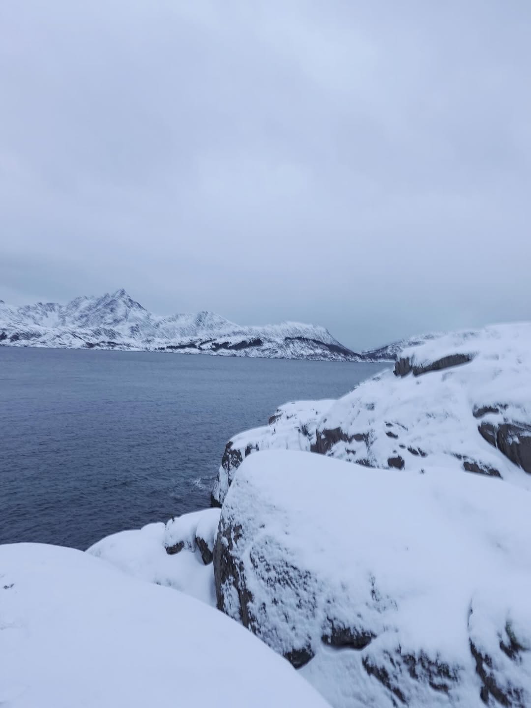 ใบเฟิร์น - พิมพ์ชนก ลือวิเศษไพบูลย์