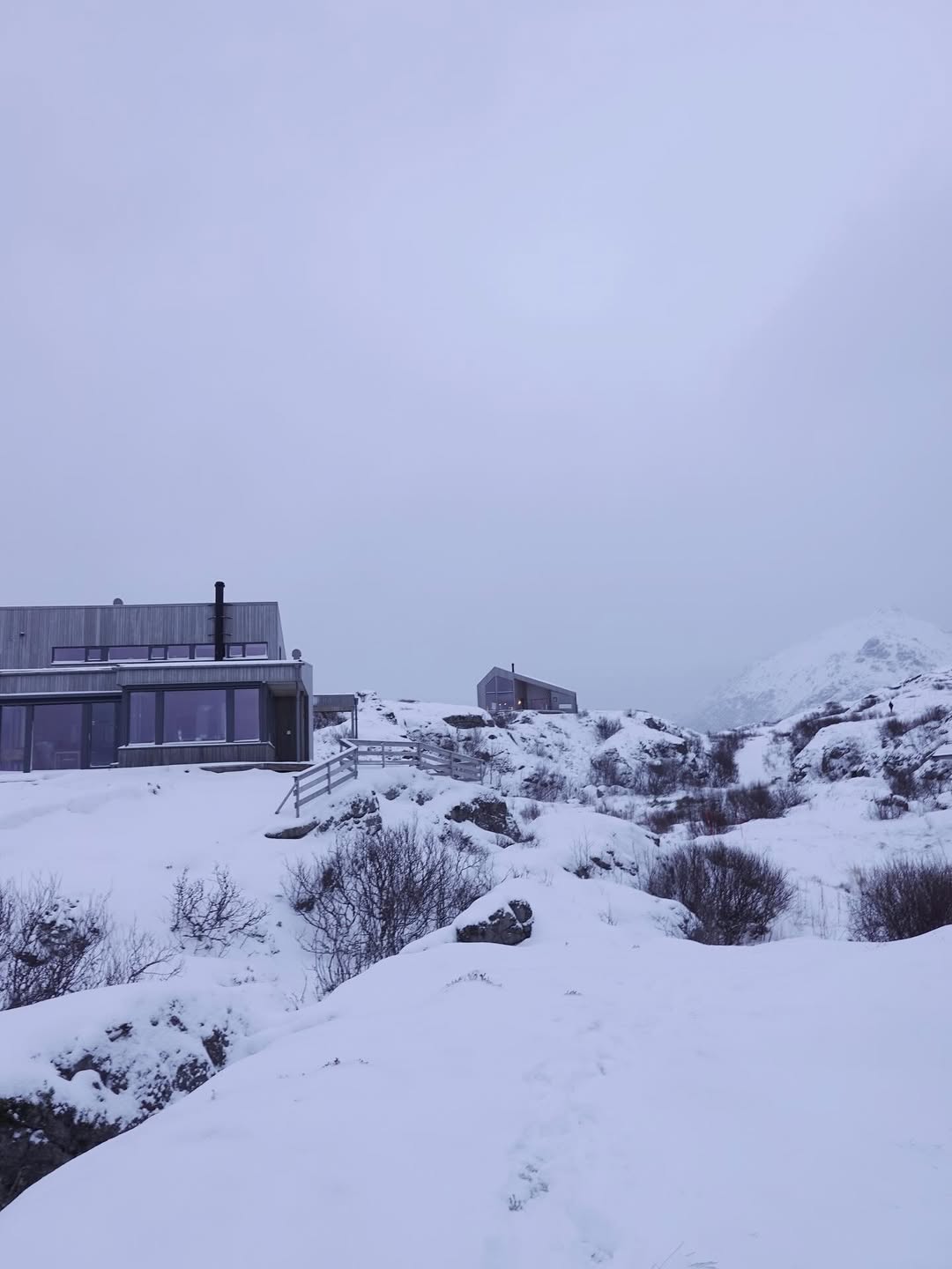 ใบเฟิร์น - พิมพ์ชนก ลือวิเศษไพบูลย์