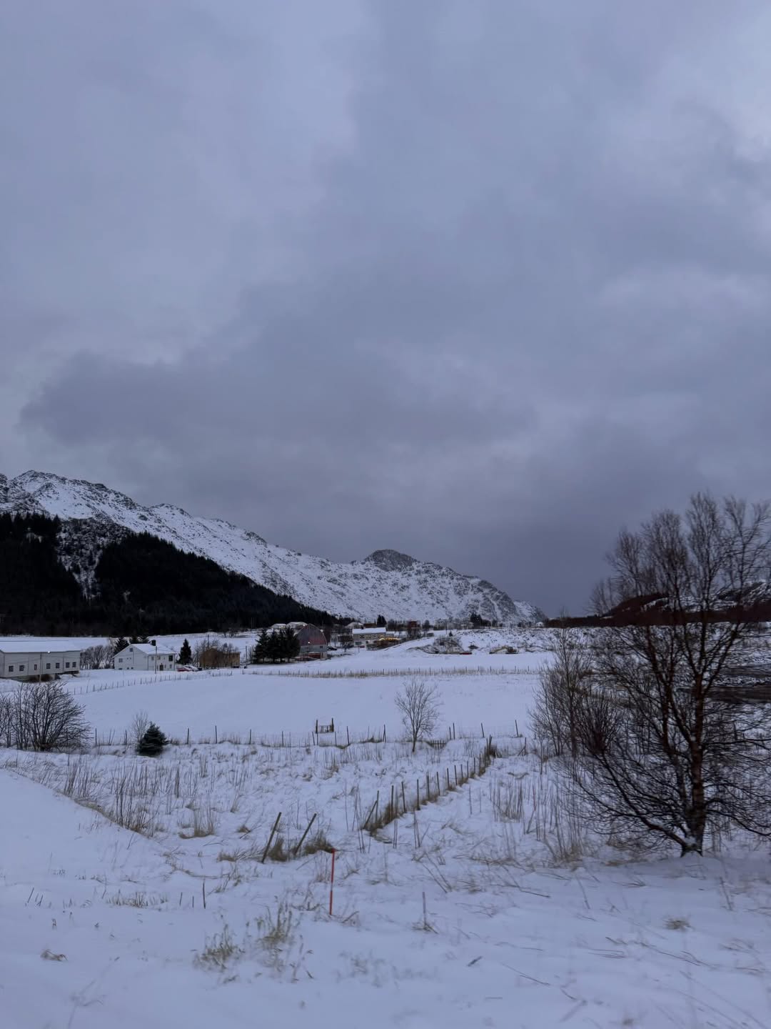 ใบเฟิร์น - พิมพ์ชนก ลือวิเศษไพบูลย์