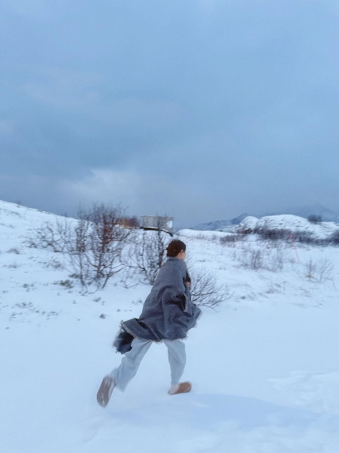 ใบเฟิร์น - พิมพ์ชนก ลือวิเศษไพบูลย์