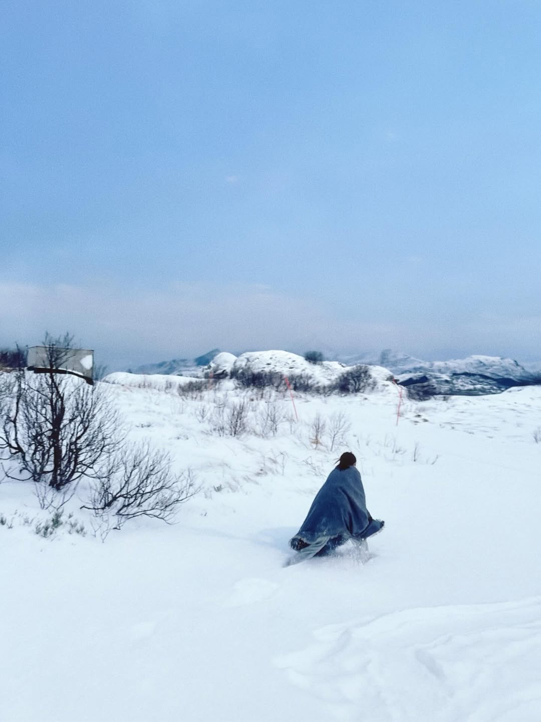 ใบเฟิร์น - พิมพ์ชนก ลือวิเศษไพบูลย์