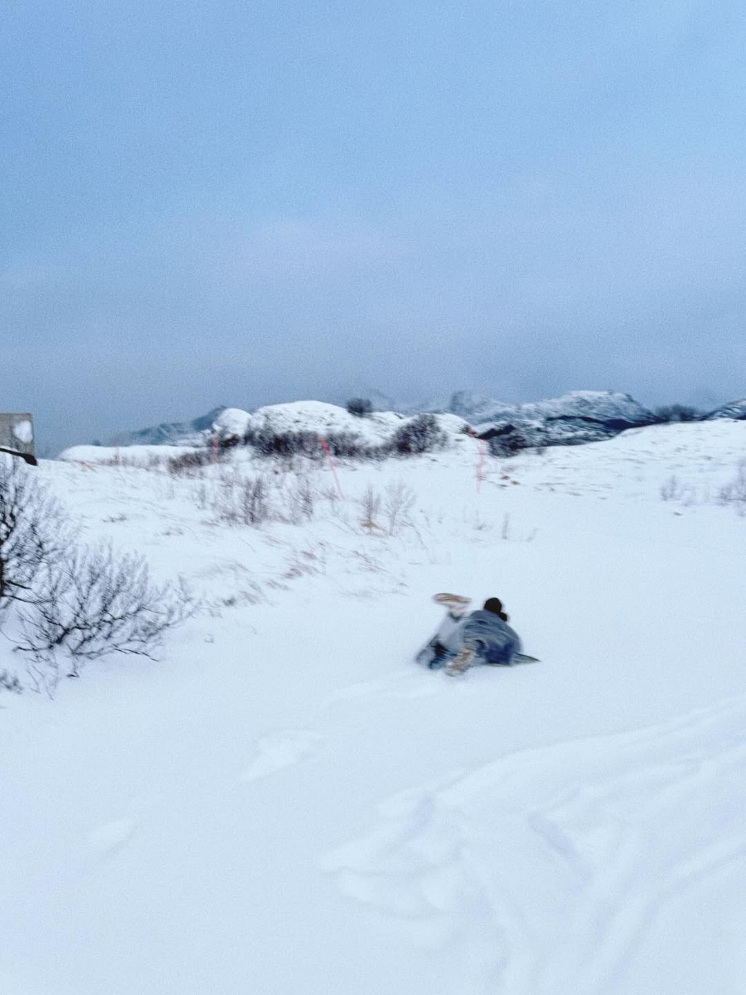 ใบเฟิร์น - พิมพ์ชนก ลือวิเศษไพบูลย์