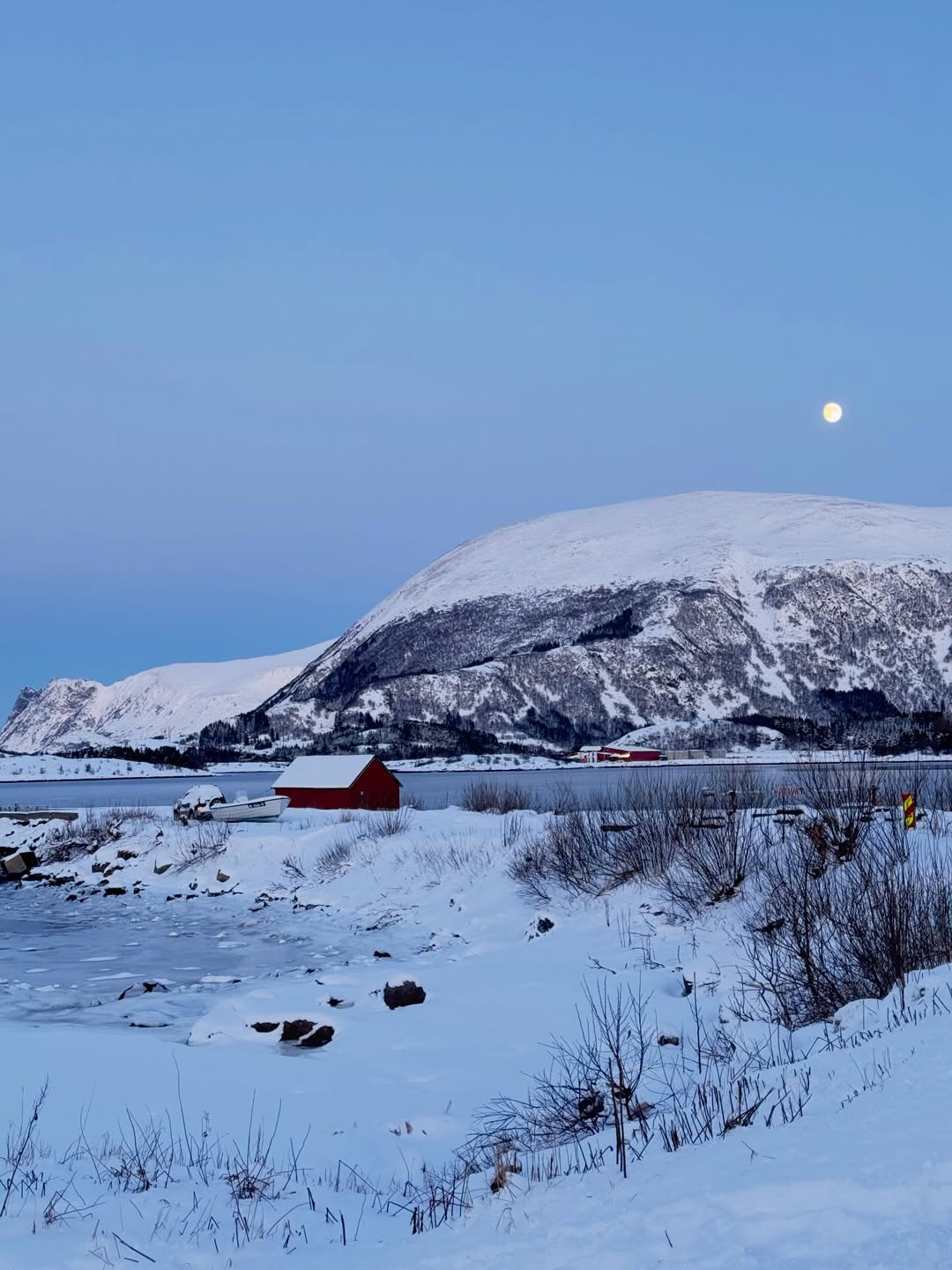 ใบเฟิร์น - พิมพ์ชนก ลือวิเศษไพบูลย์