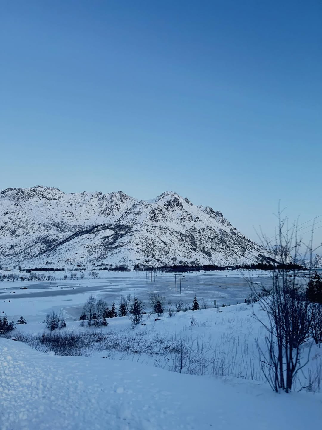 ใบเฟิร์น - พิมพ์ชนก ลือวิเศษไพบูลย์