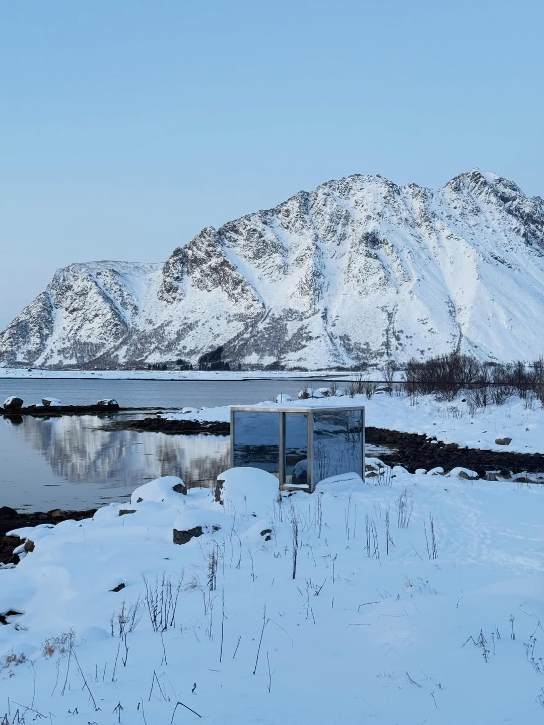 ใบเฟิร์น - พิมพ์ชนก ลือวิเศษไพบูลย์