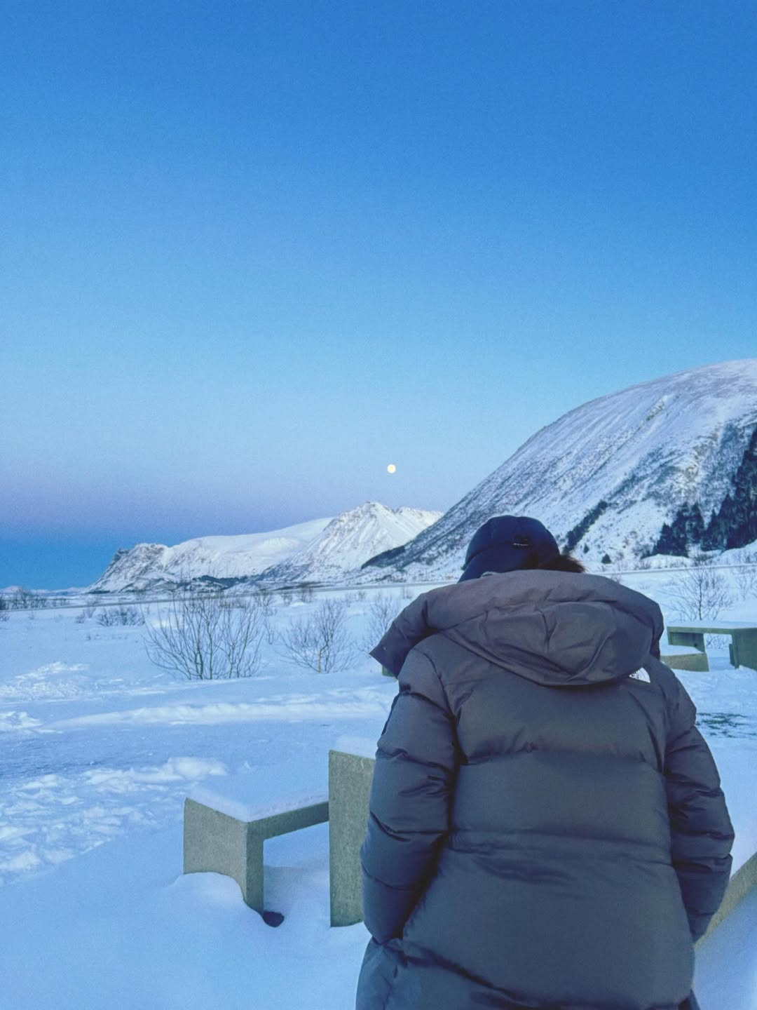 ใบเฟิร์น - พิมพ์ชนก ลือวิเศษไพบูลย์