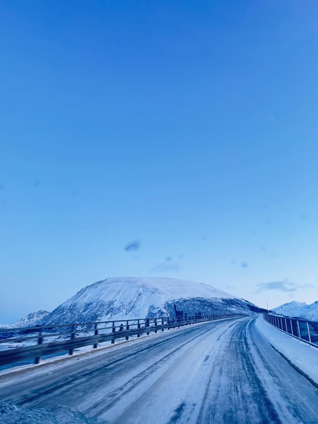 ใบเฟิร์น - พิมพ์ชนก ลือวิเศษไพบูลย์