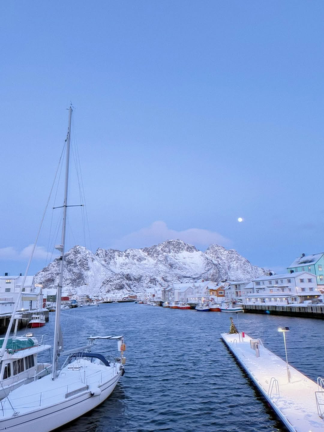 ใบเฟิร์น - พิมพ์ชนก ลือวิเศษไพบูลย์