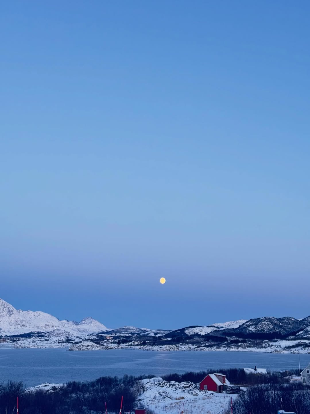 ใบเฟิร์น - พิมพ์ชนก ลือวิเศษไพบูลย์