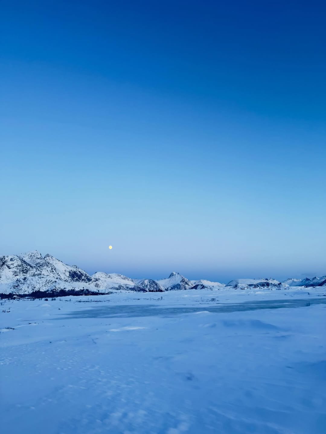 ใบเฟิร์น - พิมพ์ชนก ลือวิเศษไพบูลย์