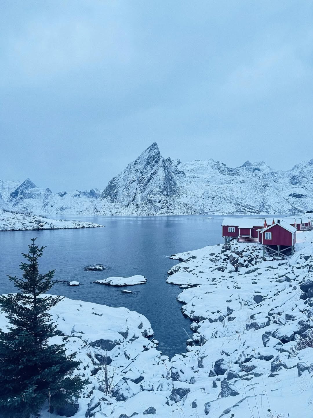 ใบเฟิร์น - พิมพ์ชนก ลือวิเศษไพบูลย์