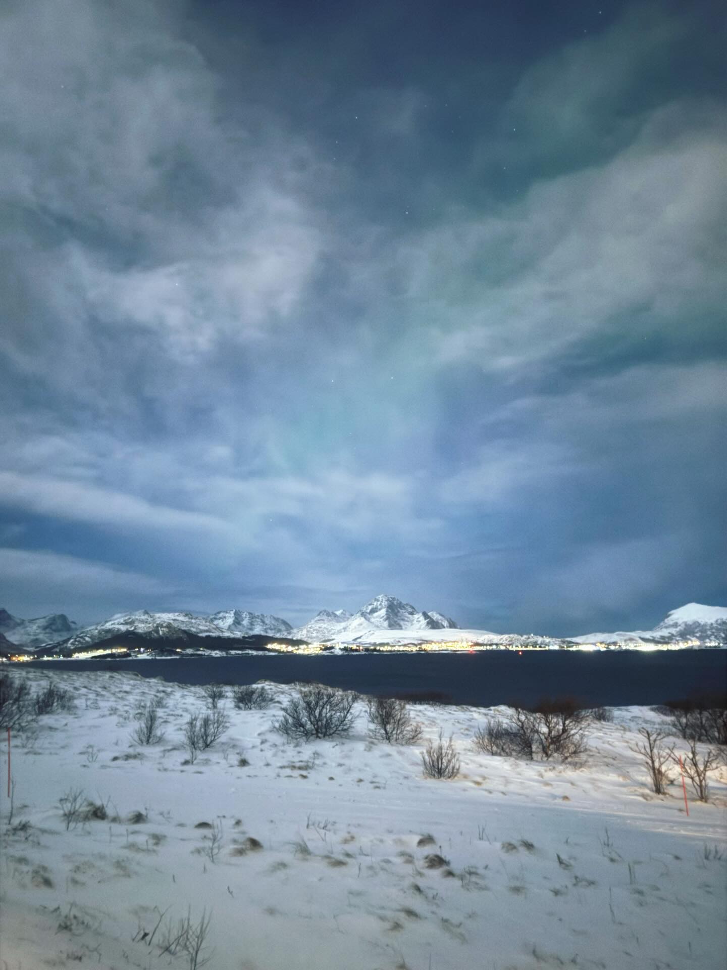 ใบเฟิร์น - พิมพ์ชนก ลือวิเศษไพบูลย์