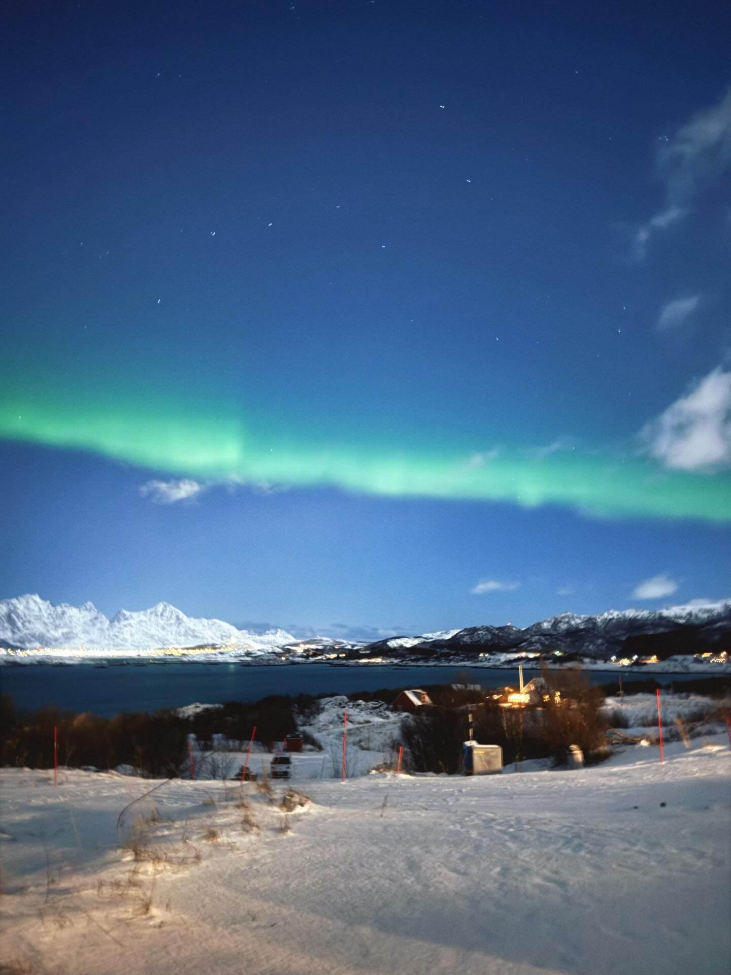 ใบเฟิร์น - พิมพ์ชนก ลือวิเศษไพบูลย์