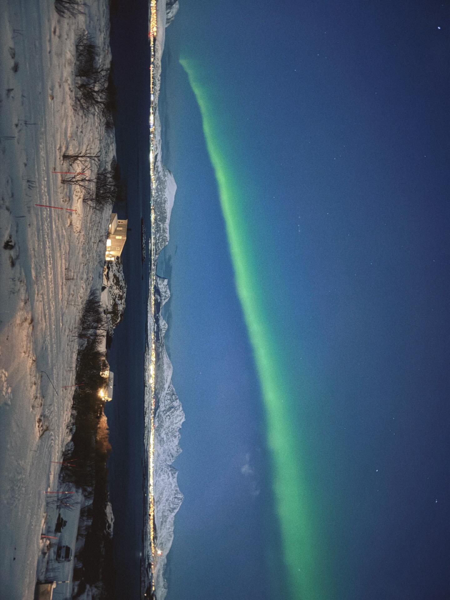 ใบเฟิร์น - พิมพ์ชนก ลือวิเศษไพบูลย์