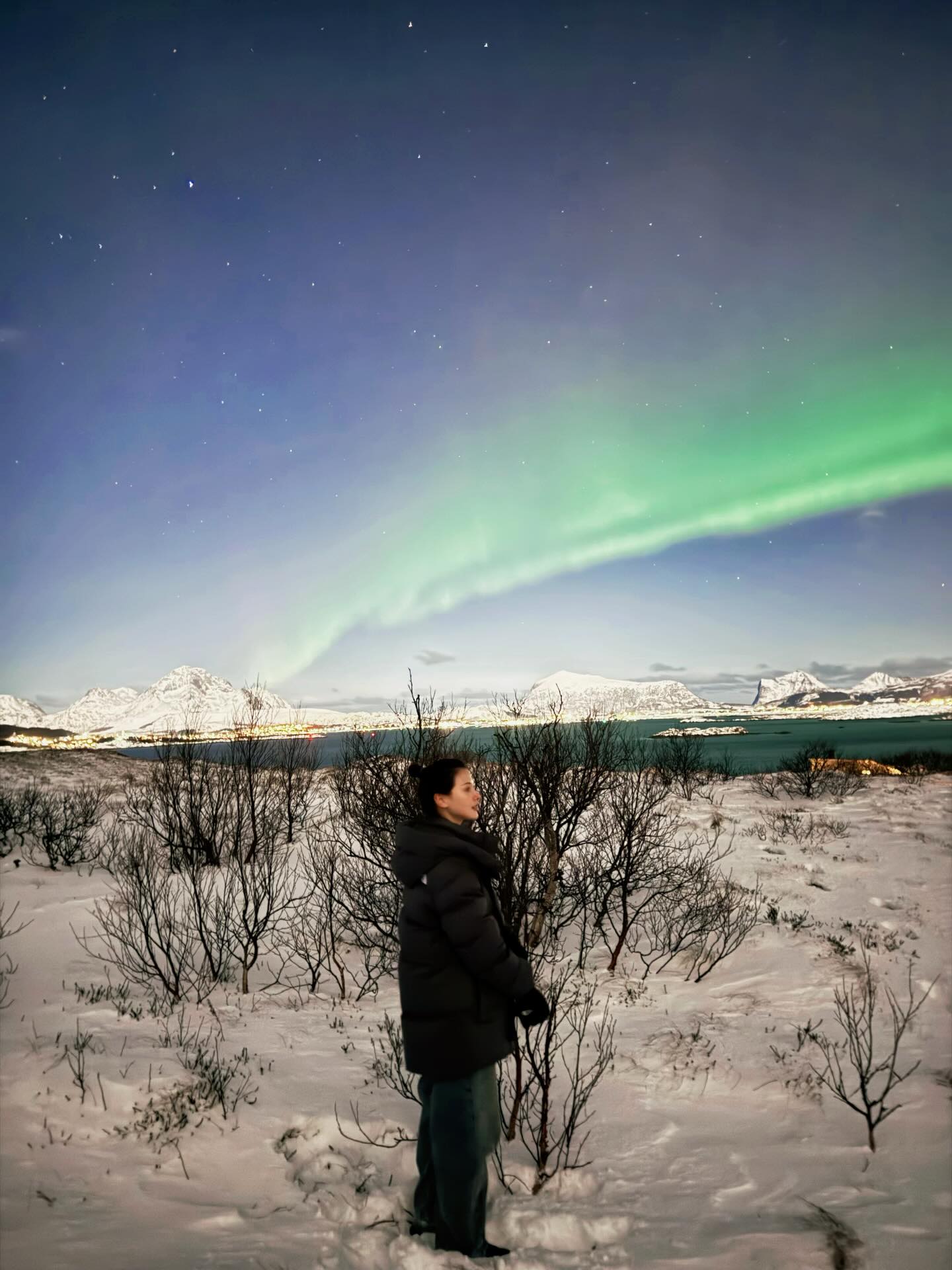 ใบเฟิร์น - พิมพ์ชนก ลือวิเศษไพบูลย์