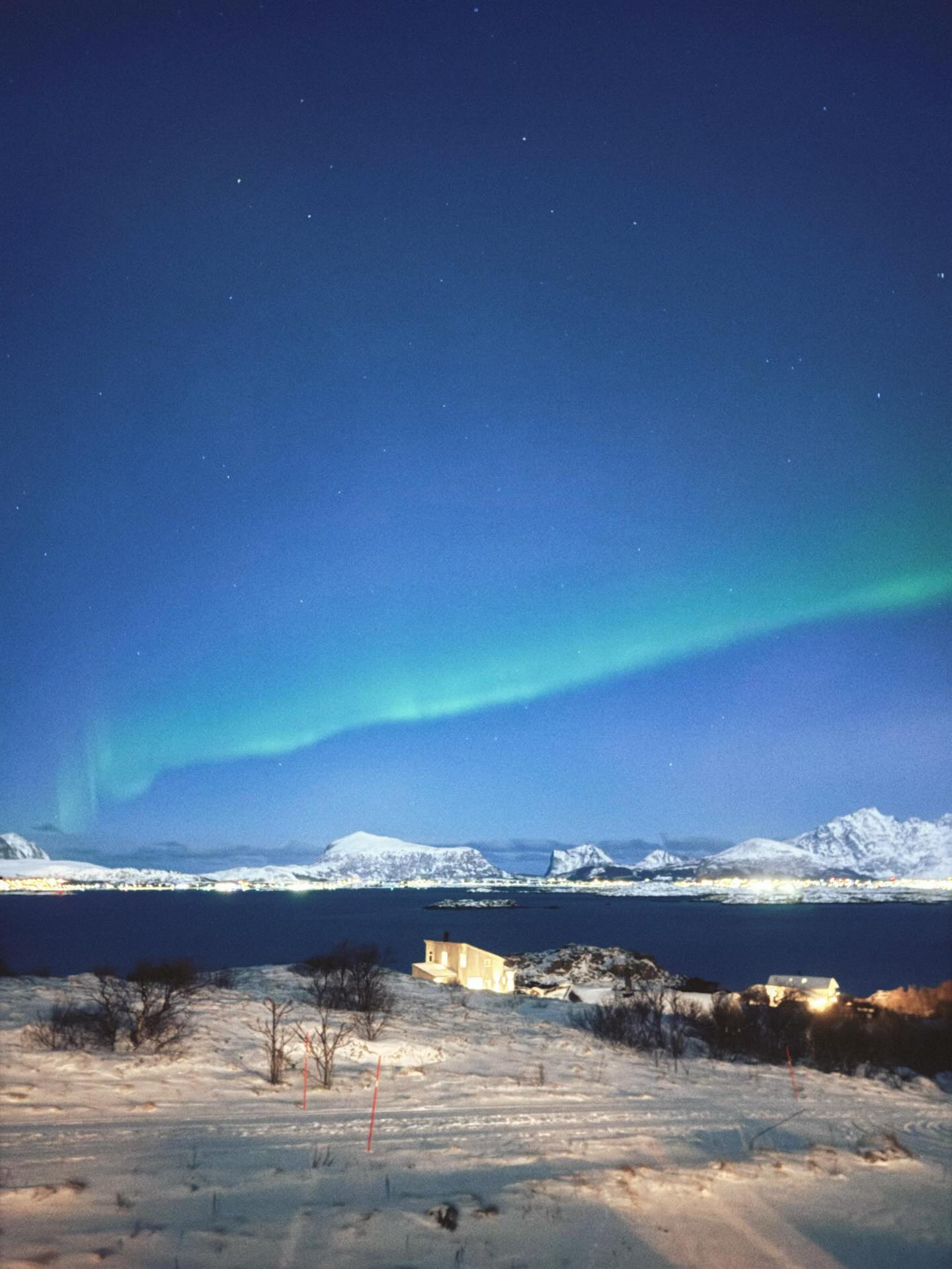 ใบเฟิร์น - พิมพ์ชนก ลือวิเศษไพบูลย์