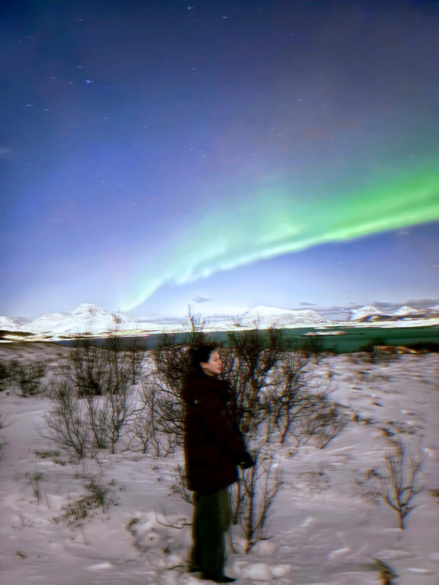 ใบเฟิร์น - พิมพ์ชนก ลือวิเศษไพบูลย์