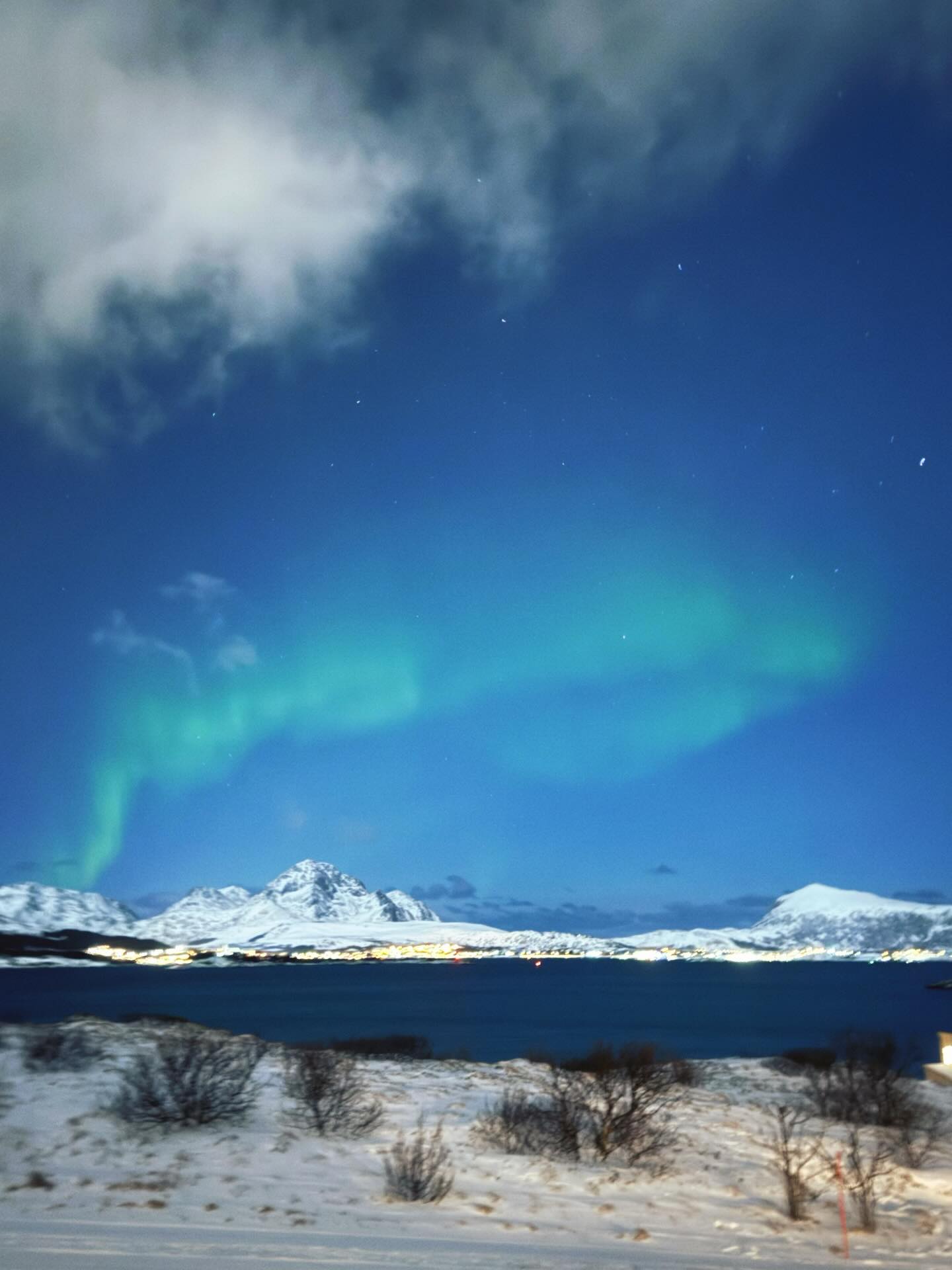 ใบเฟิร์น - พิมพ์ชนก ลือวิเศษไพบูลย์