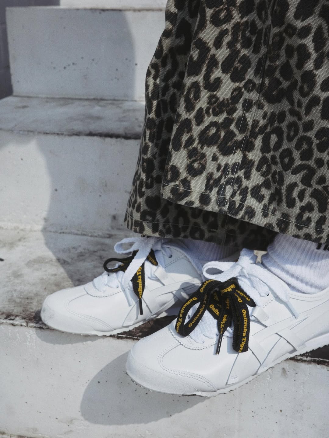 ใบเฟิร์น - พิมพ์ชนก ลือวิเศษไพบูลย์