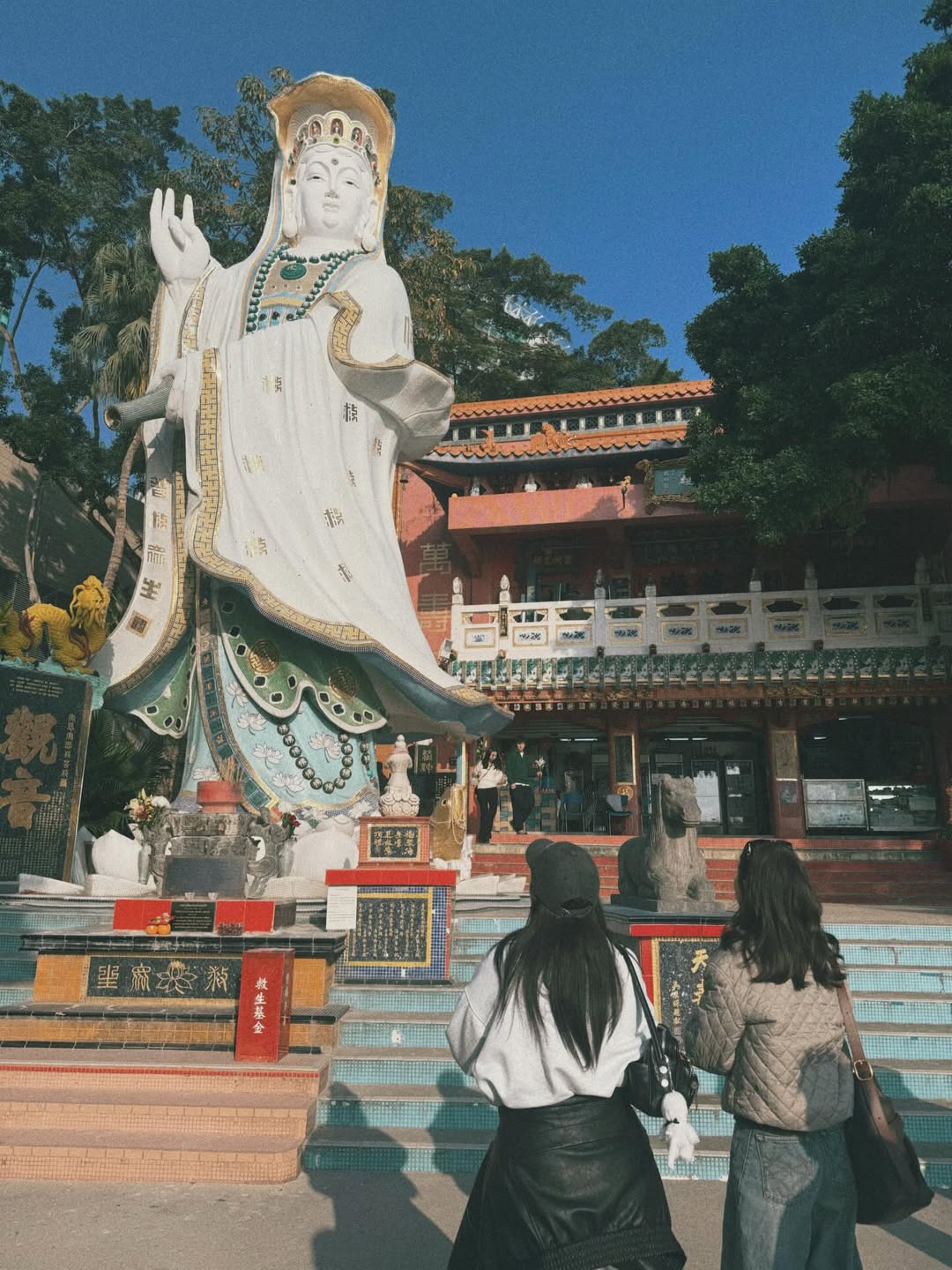 ใบเฟิร์น - พิมพ์ชนก ลือวิเศษไพบูลย์