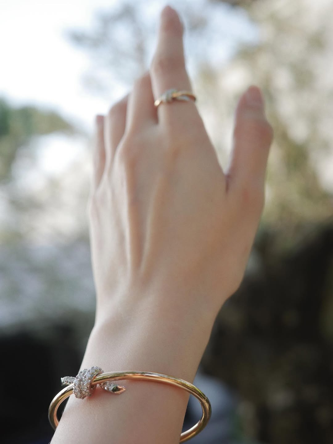 ใบเฟิร์น - พิมพ์ชนก ลือวิเศษไพบูลย์