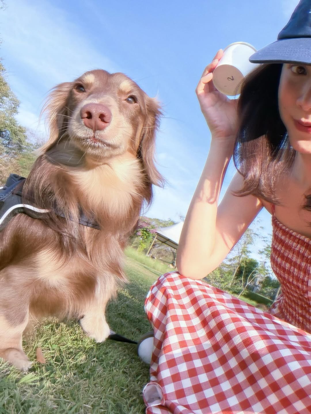 ใบเฟิร์น - พิมพ์ชนก ลือวิเศษไพบูลย์