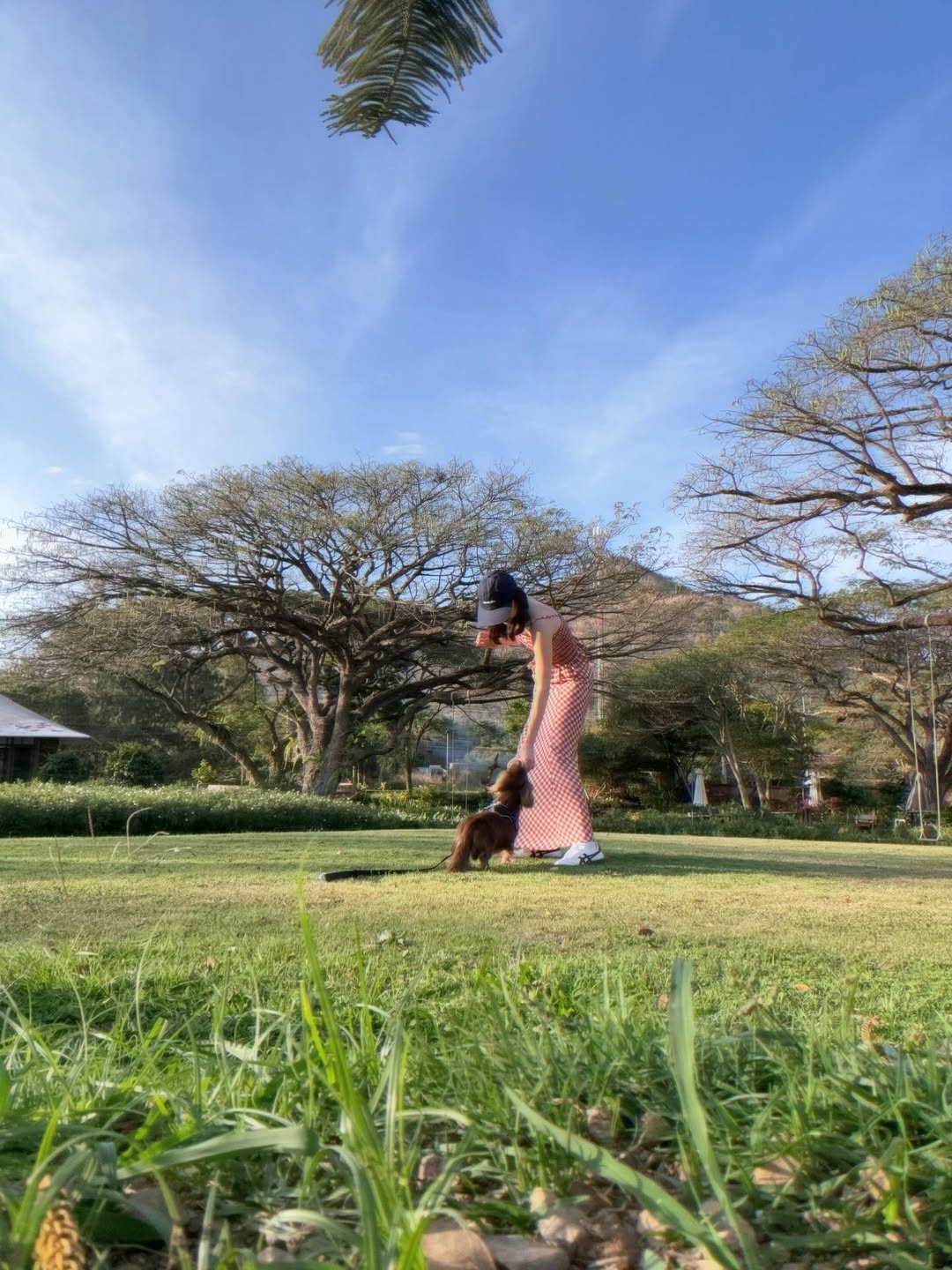 ใบเฟิร์น - พิมพ์ชนก ลือวิเศษไพบูลย์