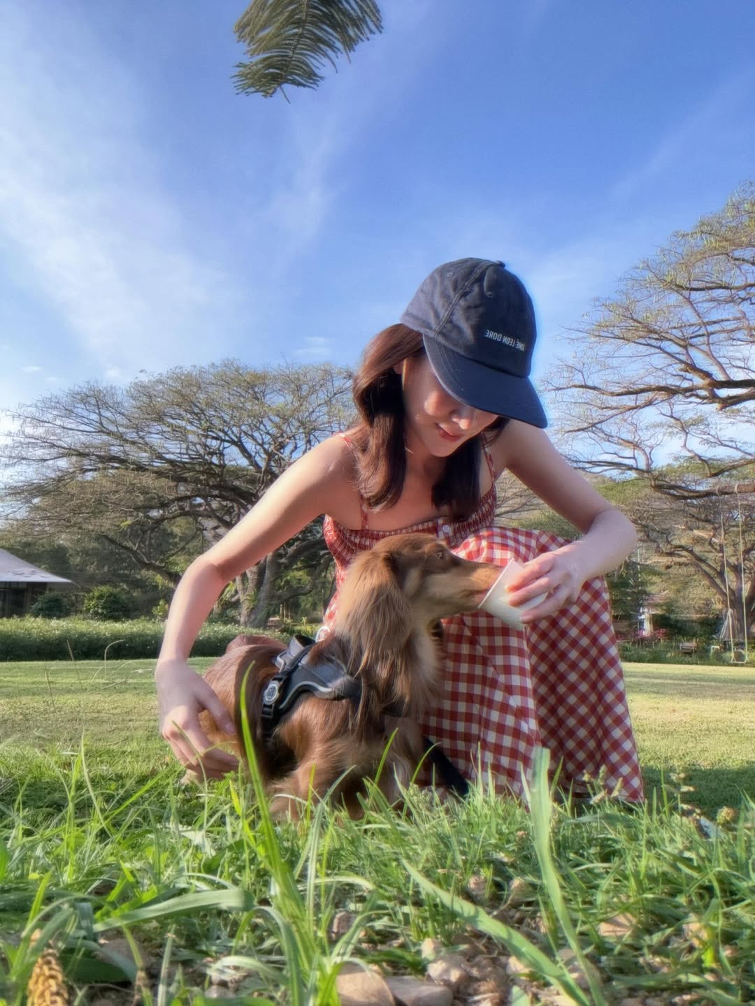 ใบเฟิร์น - พิมพ์ชนก ลือวิเศษไพบูลย์