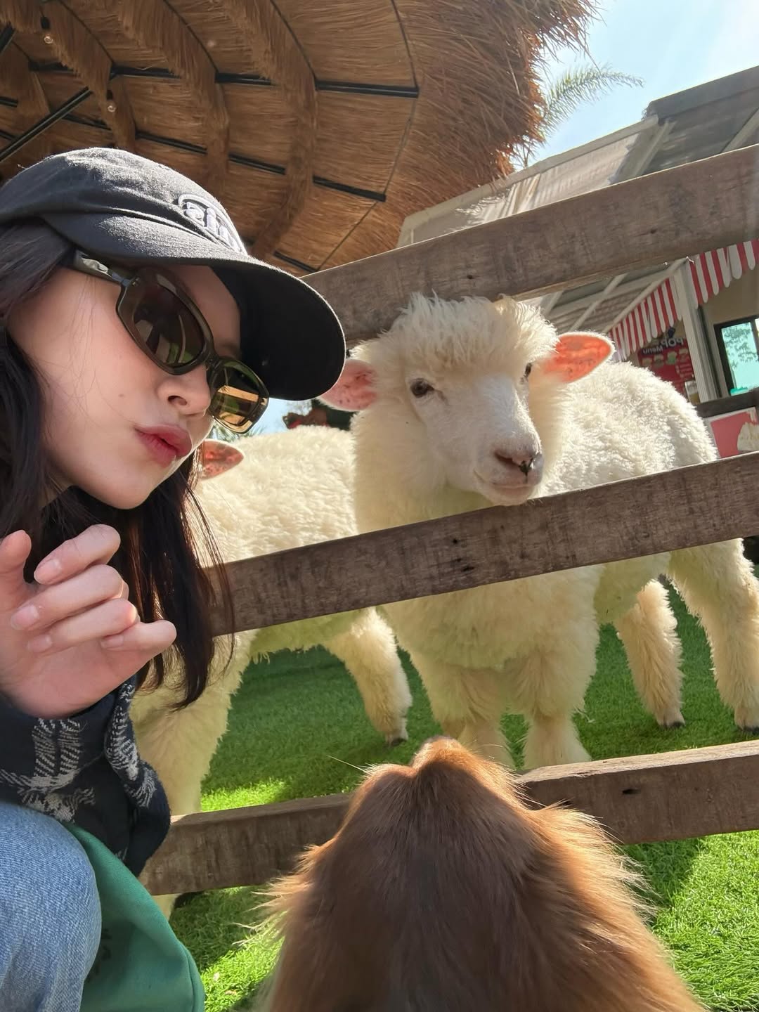 ใบเฟิร์น - พิมพ์ชนก ลือวิเศษไพบูลย์