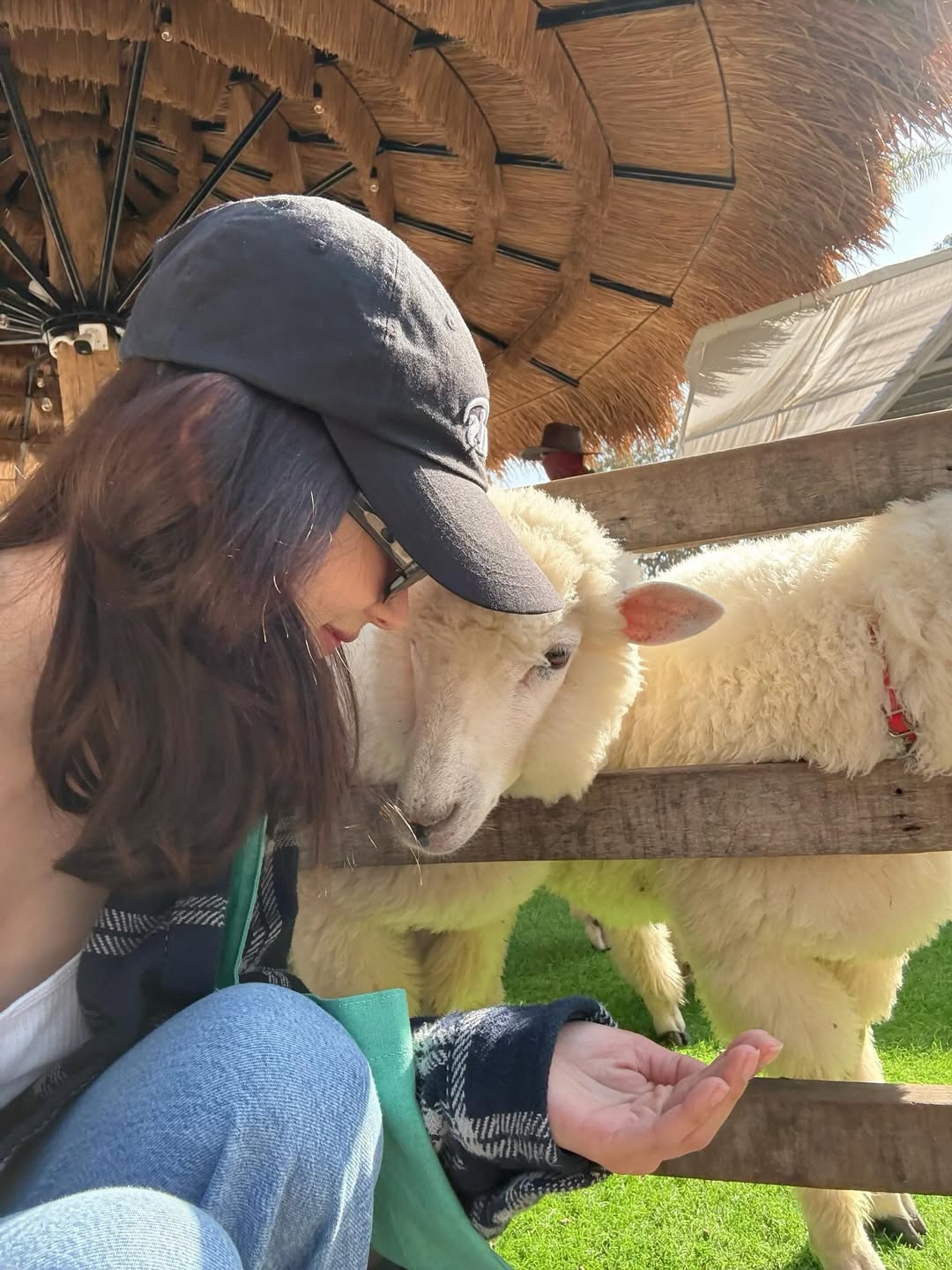 ใบเฟิร์น - พิมพ์ชนก ลือวิเศษไพบูลย์