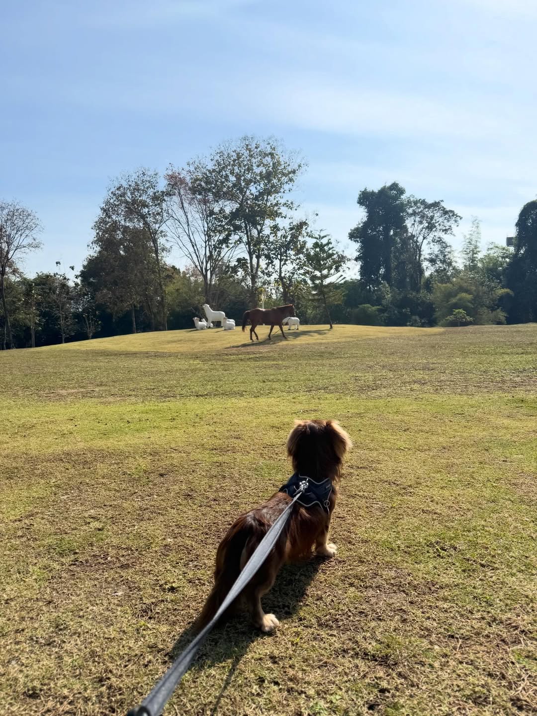 ใบเฟิร์น - พิมพ์ชนก ลือวิเศษไพบูลย์