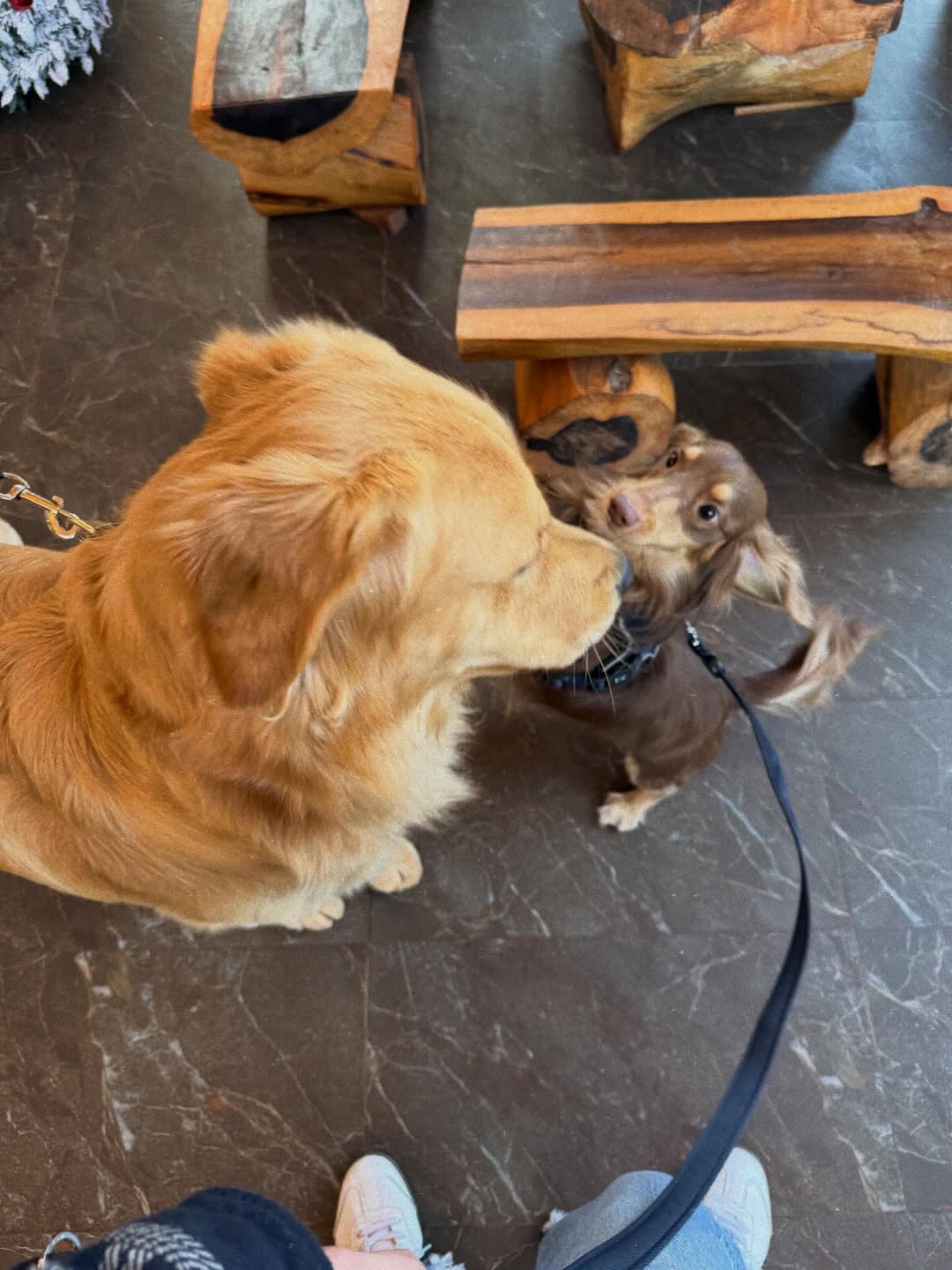 ใบเฟิร์น - พิมพ์ชนก ลือวิเศษไพบูลย์