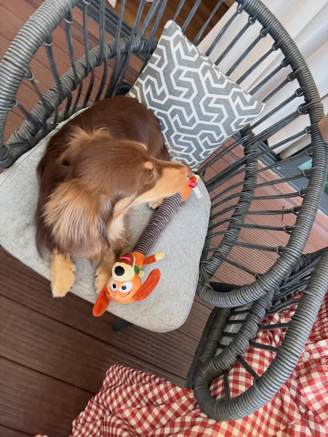 ใบเฟิร์น - พิมพ์ชนก ลือวิเศษไพบูลย์