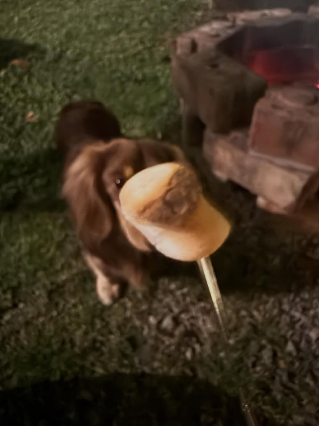 ใบเฟิร์น - พิมพ์ชนก ลือวิเศษไพบูลย์