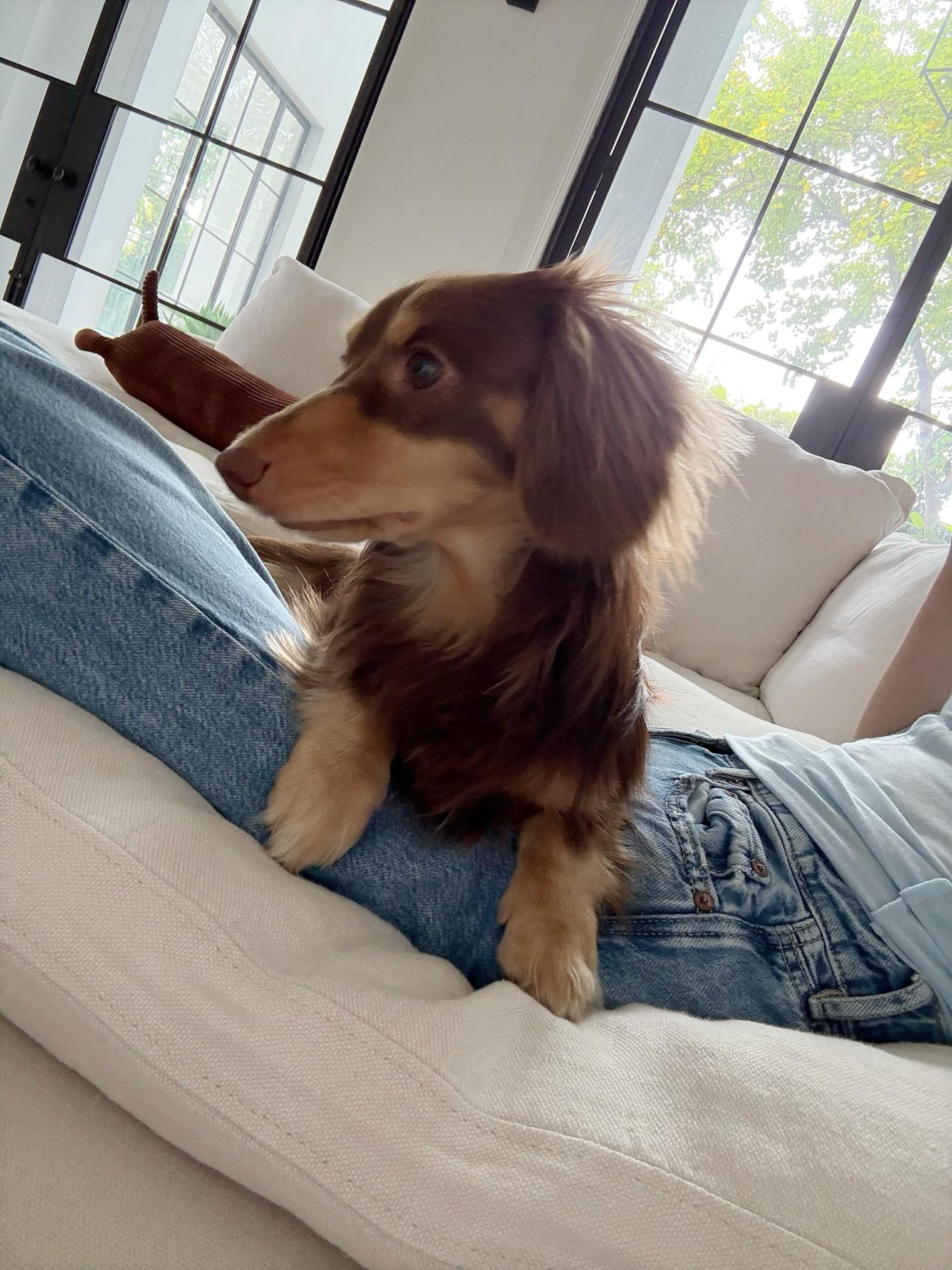 ใบเฟิร์น - พิมพ์ชนก ลือวิเศษไพบูลย์