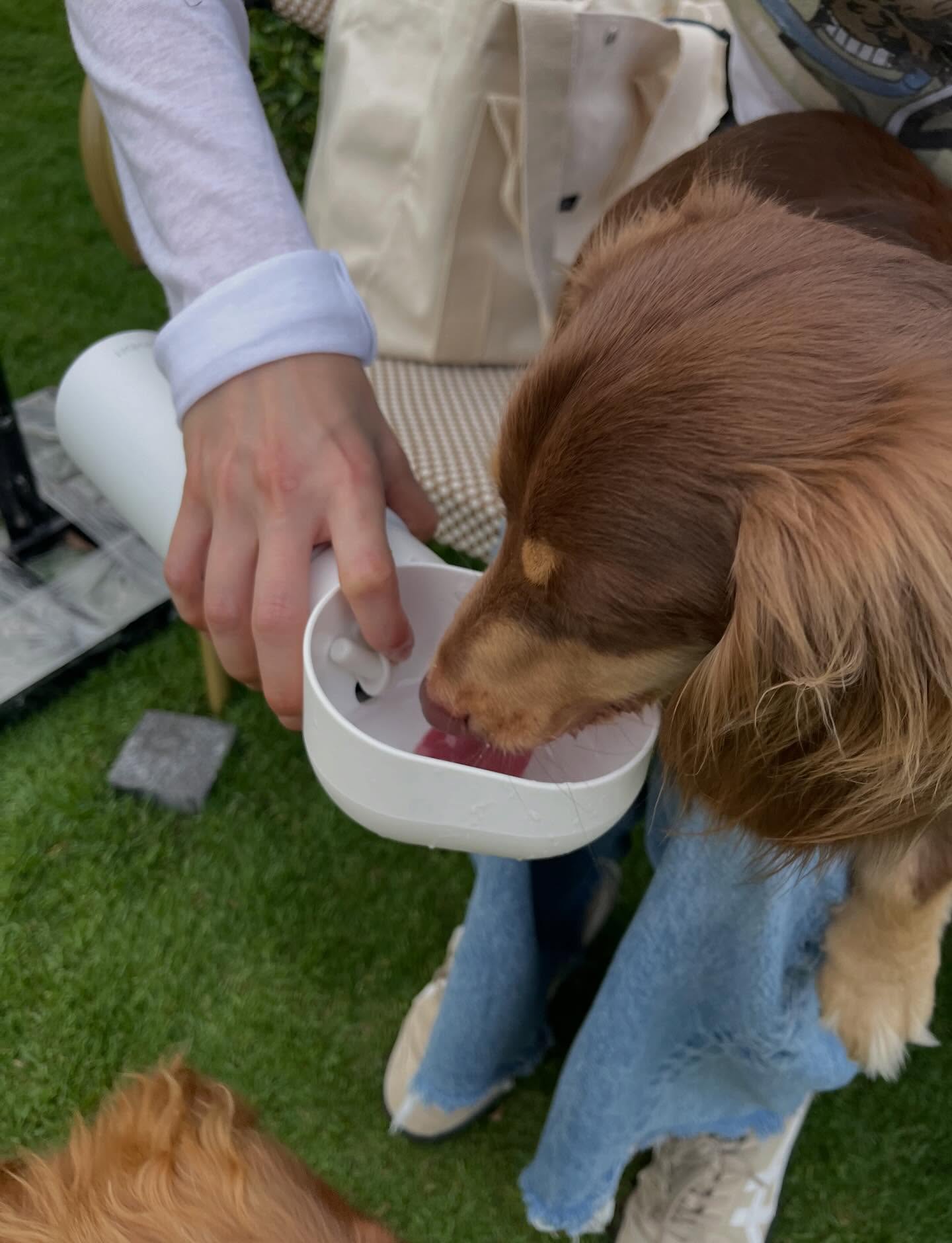 ใบเฟิร์น - พิมพ์ชนก ลือวิเศษไพบูลย์