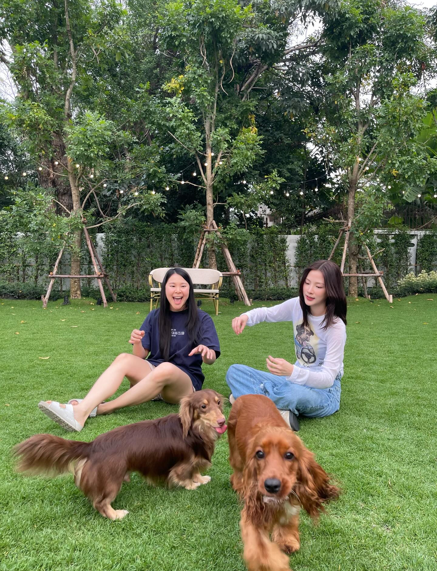 ใบเฟิร์น - พิมพ์ชนก ลือวิเศษไพบูลย์