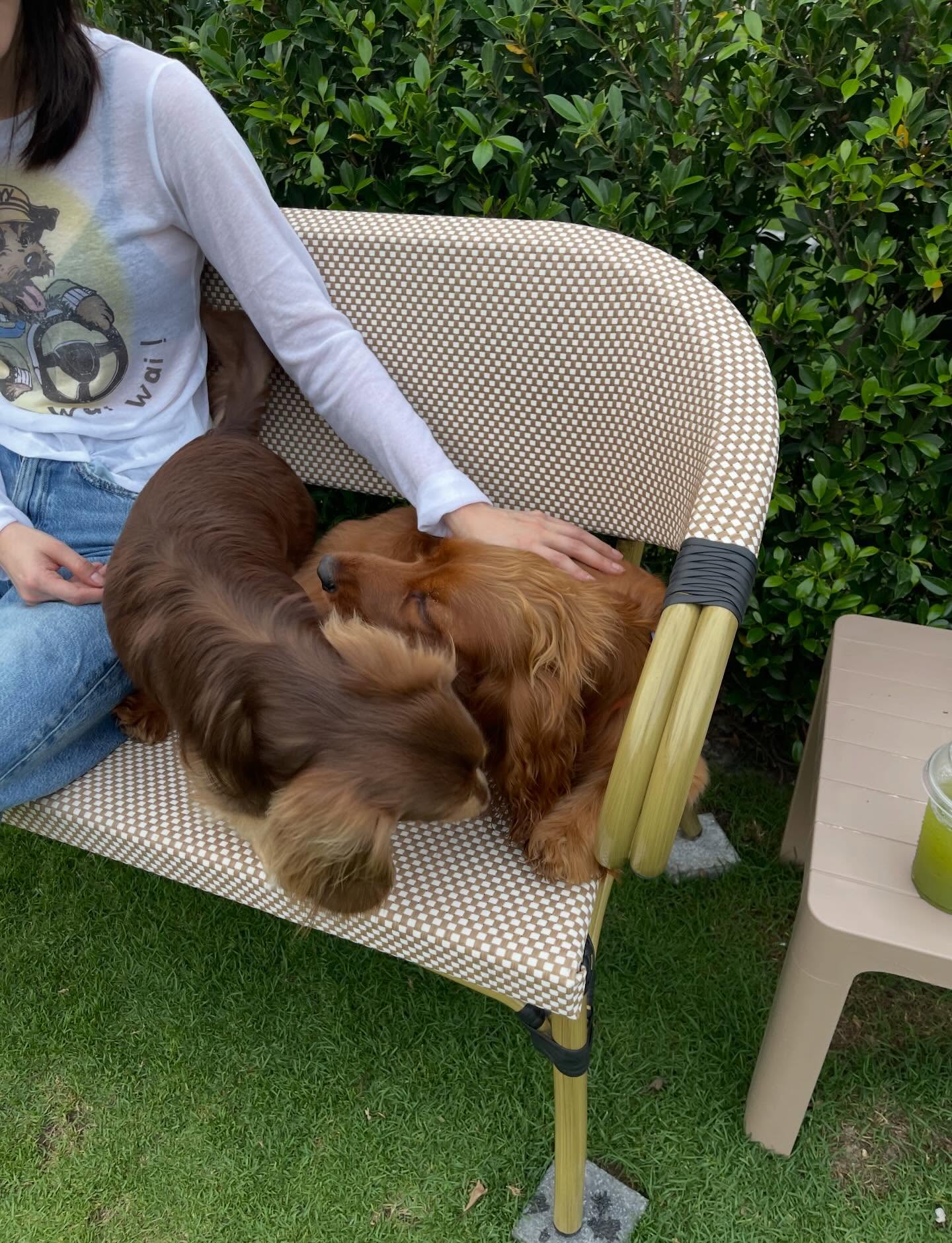 ใบเฟิร์น - พิมพ์ชนก ลือวิเศษไพบูลย์