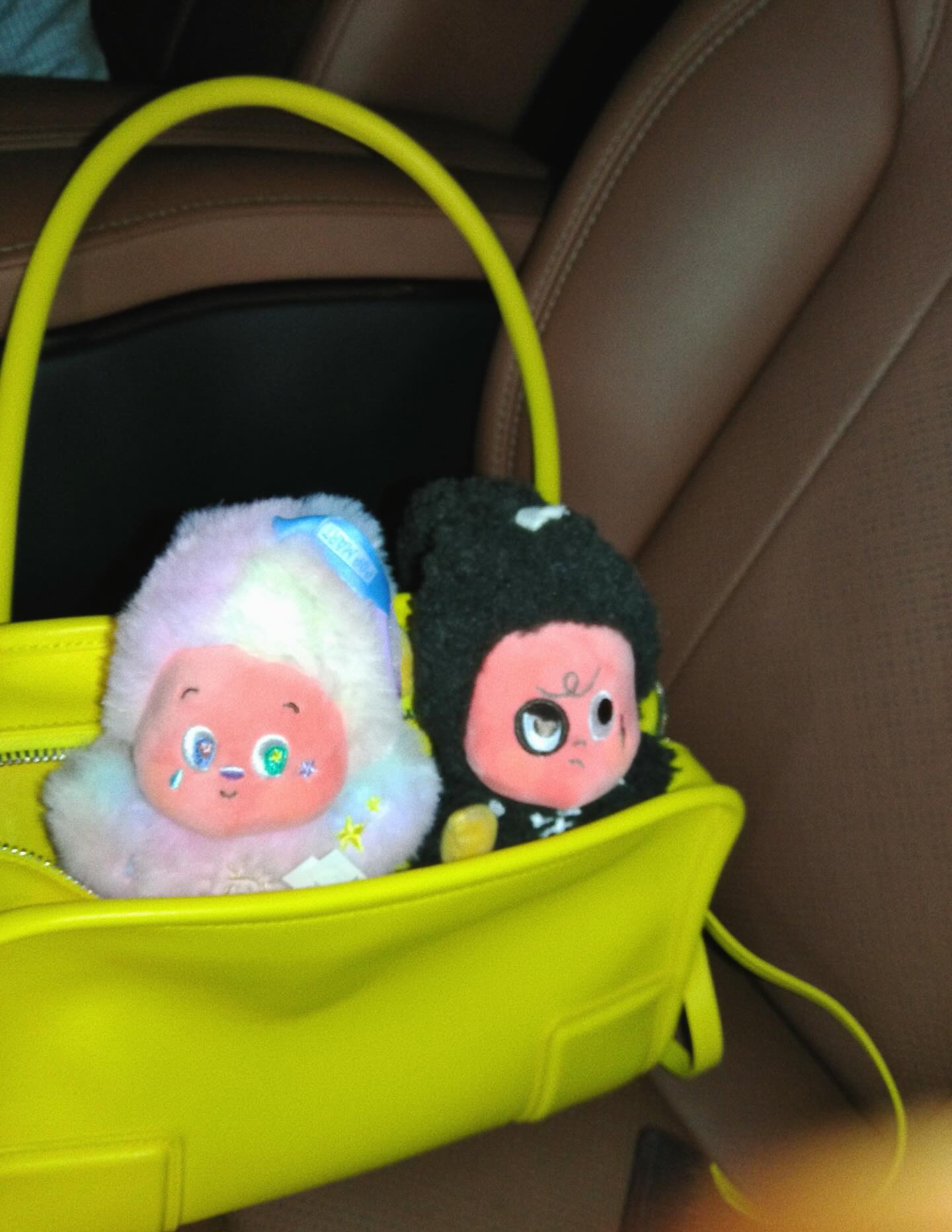 ใบเฟิร์น - พิมพ์ชนก ลือวิเศษไพบูลย์