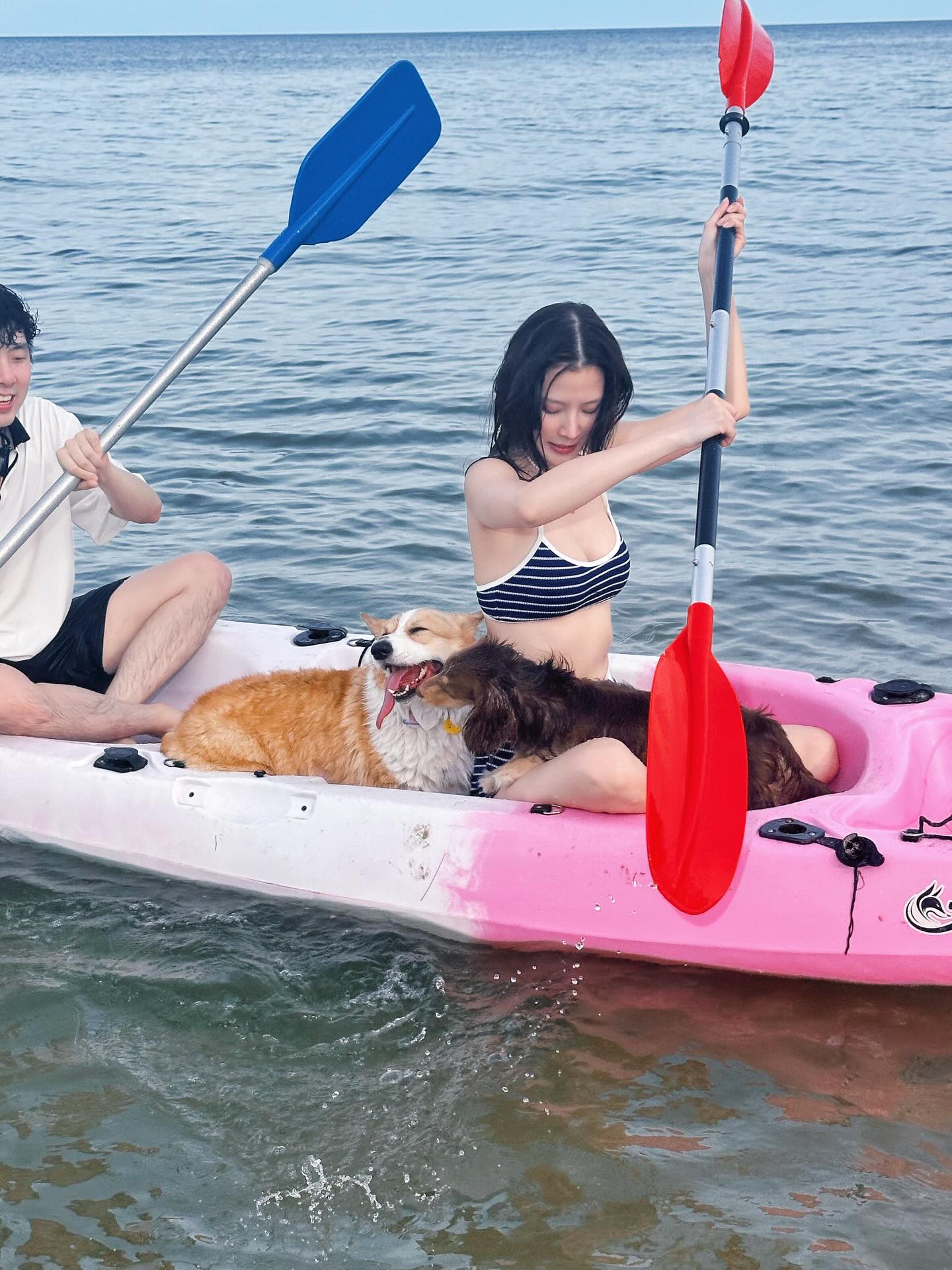ใบเฟิร์น - พิมพ์ชนก ลือวิเศษไพบูลย์
