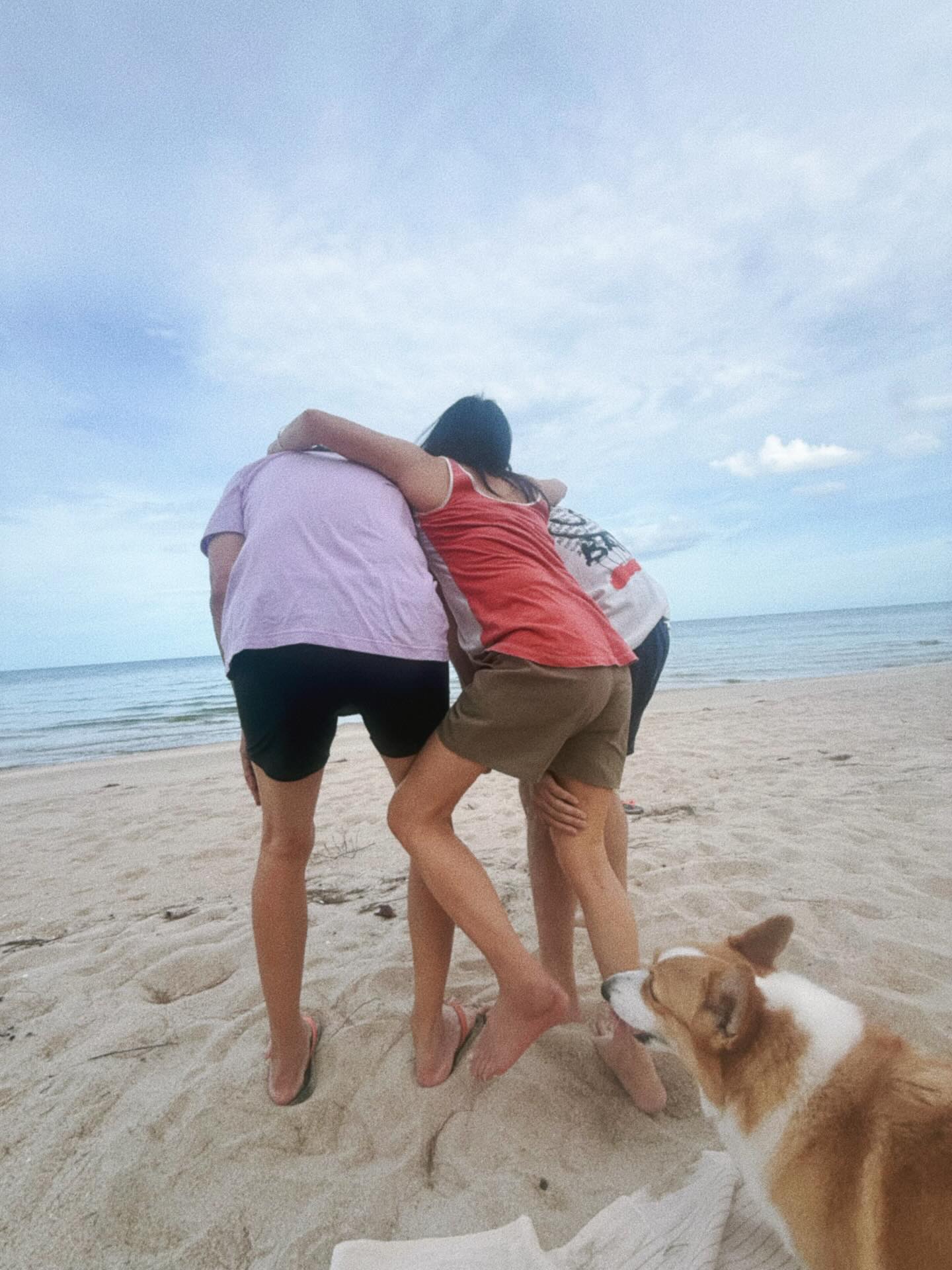 ใบเฟิร์น - พิมพ์ชนก ลือวิเศษไพบูลย์